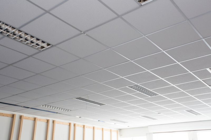 Acoustic Ceiling Installation in Longmont, CO