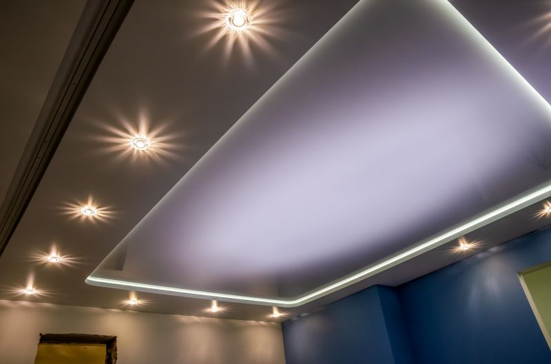 Suspended Ceiling Service