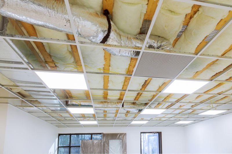 Suspended Ceiling Service