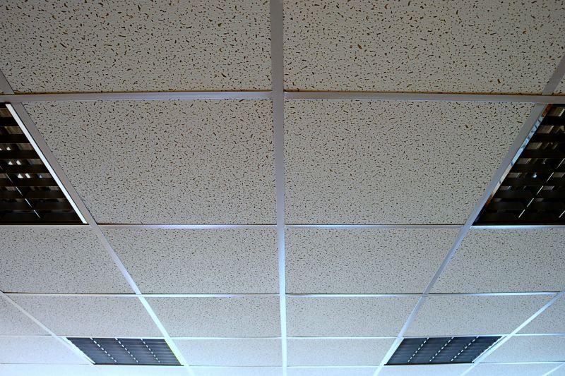 Suspended Ceiling Service